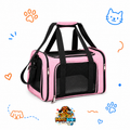BOLSO TRANSPORTADOR