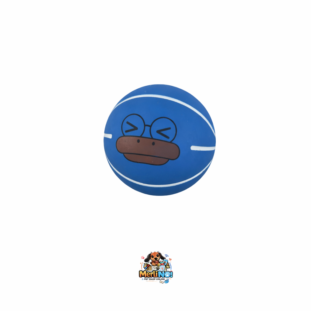 PELOTA SALTARINA PATO