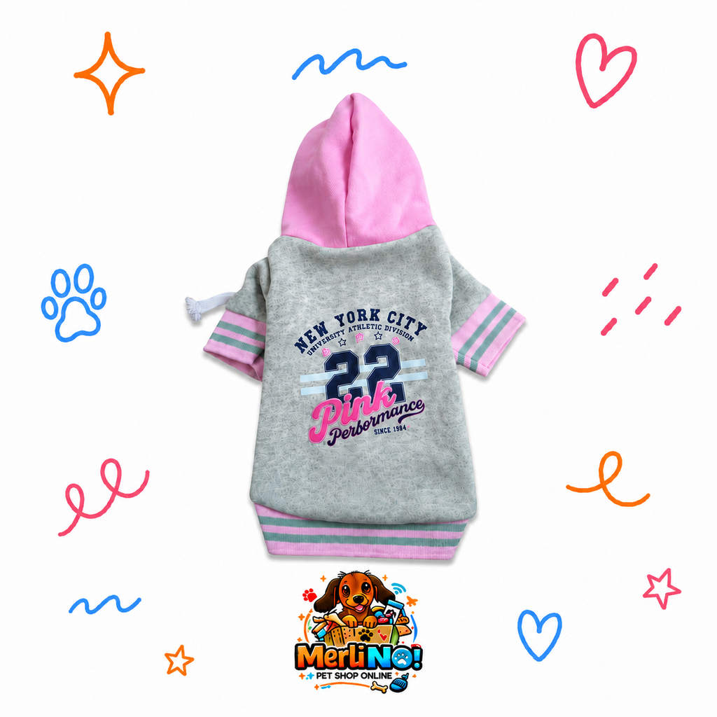 BUZO PINK 22