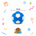 PELOTAS DEPORTES