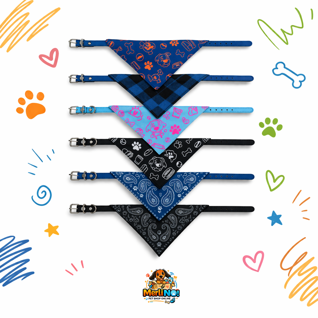 COLLAR CON PAÑUELO